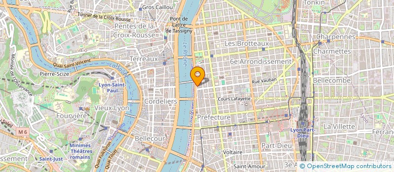 localisation de l'entreprise MONSIEUR MICHEL JOLIVET à LYON