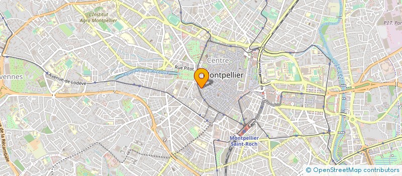 localisation de l'entreprise MONSIEUR MICHEL JOVET à MONTPELLIER