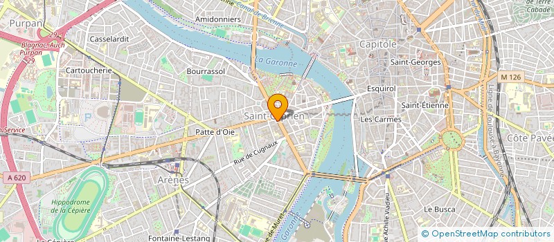 localisation de l'entreprise MONSIEUR MICHEL JURICIC à TOULOUSE
