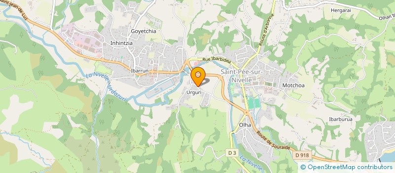 localisation de l'entreprise MONSIEUR MICHEL LABORDE-ARANCET  SAINT-PEE-SUR-NIVELLE