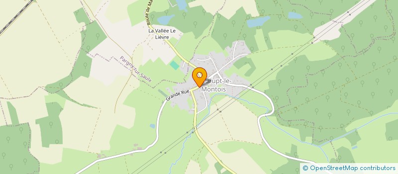 localisation de l'entreprise MONSIEUR MICHEL LALLEMENT  SAINT-VRAIN