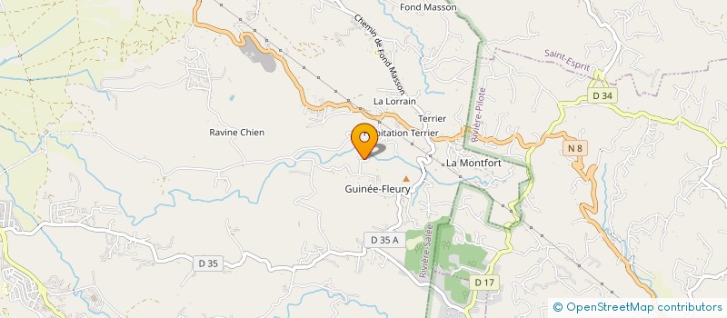 localisation de l'entreprise MONSIEUR MICHEL LARODE à RIVIERE-SALEE