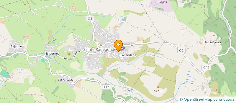 localisation de l'entreprise MONSIEUR MICHEL LAURY  SAINTE-RADEGONDE