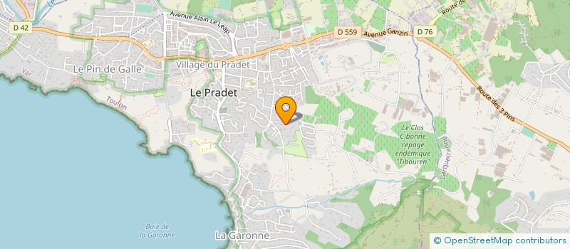 localisation de l'entreprise MONSIEUR MICHEL LAVAIX  LE PRADET