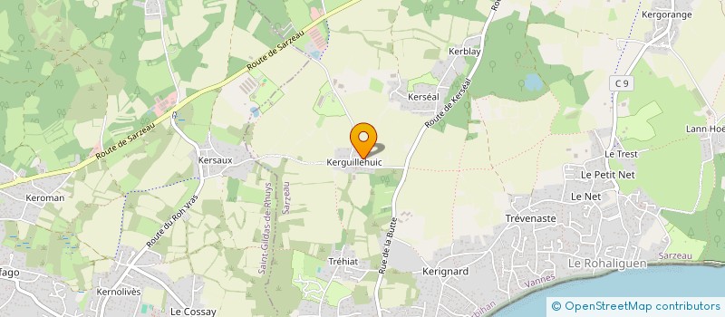 localisation de l'entreprise MONSIEUR MICHEL LE FEUVRE  SARZEAU