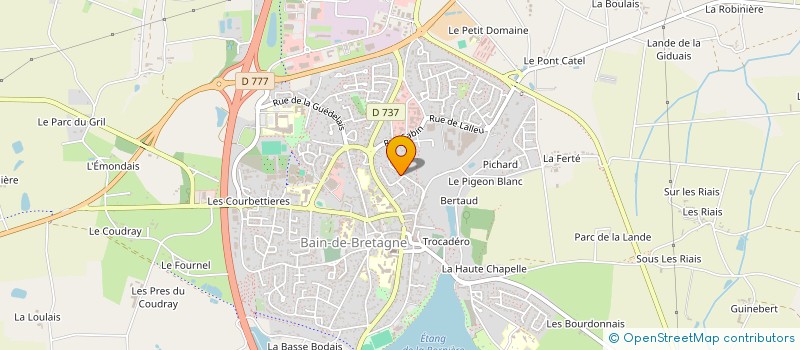 localisation de l'entreprise MONSIEUR MICHEL LE TURDU  BAIN-DE-BRETAGNE