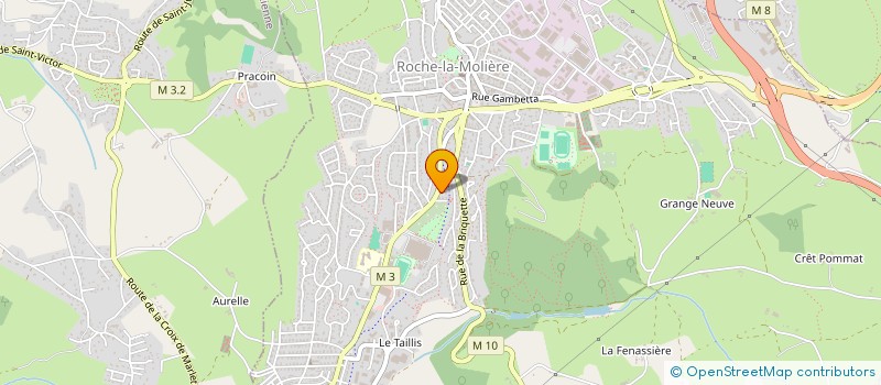 localisation de l'entreprise MONSIEUR MICHEL LECHAIGNE  SAINT-ETIENNE