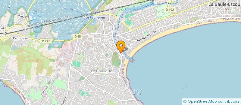 localisation de l'entreprise MONSIEUR MICHEL LEROY  LE POULIGUEN