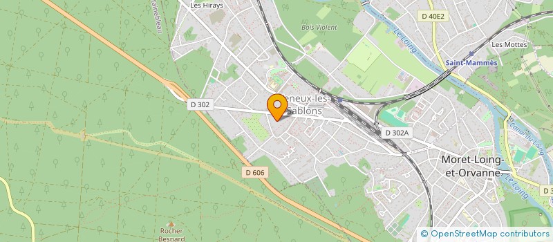 localisation de l'entreprise MONSIEUR MICHEL LEROY  MORET-LOING-ET-ORVANNE