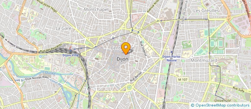 localisation de l'entreprise MONSIEUR MICHEL LICHERE à DIJON