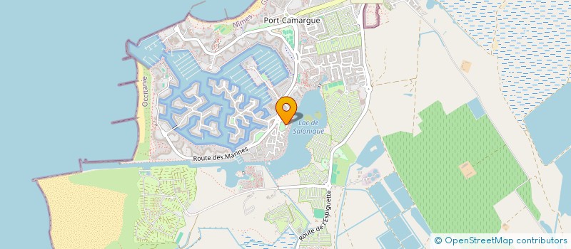 localisation de l'entreprise MONSIEUR MICHEL LIGONES  LE GRAU-DU-ROI