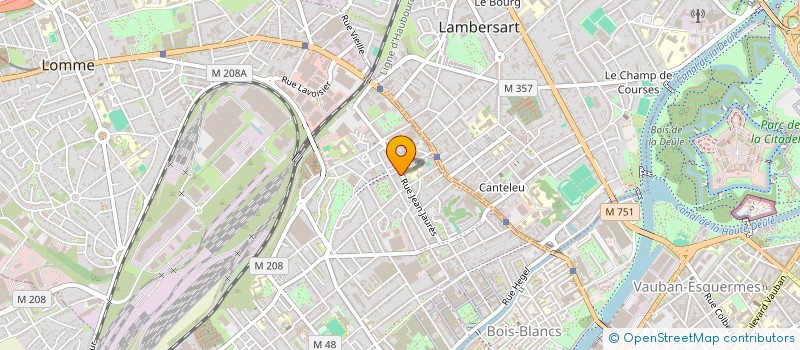 localisation de l'entreprise MONSIEUR MICHEL LOKAMBA OMBA à LILLE
