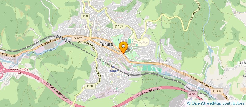localisation de l'entreprise MONSIEUR MICHEL LUTAUD  TARARE