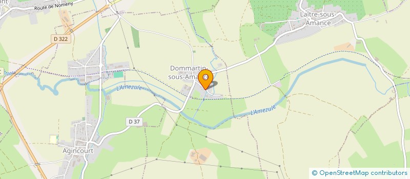 localisation de l'entreprise MONSIEUR MICHEL MAIRE  DOMMARTIN-SOUS-AMANCE