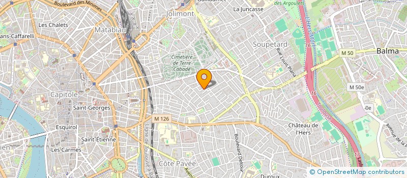 localisation de l'entreprise MONSIEUR MICHEL MANACH  TOULOUSE