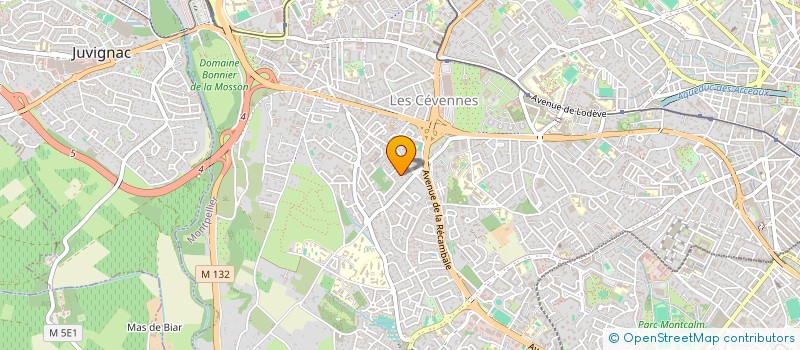 localisation de l'entreprise MONSIEUR MICHEL MANUGUERRA à MONTPELLIER