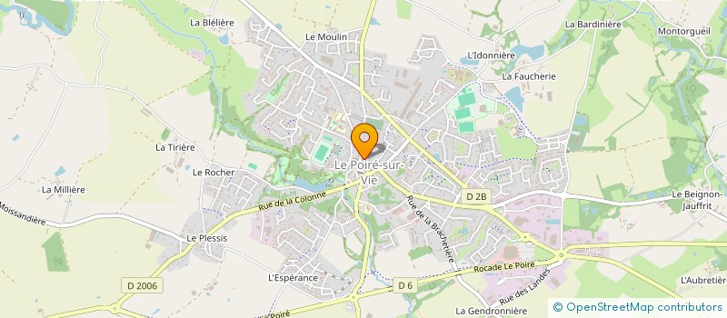 localisation de l'entreprise MONSIEUR MICHEL MARTIN  LE POIRE-SUR-VIE