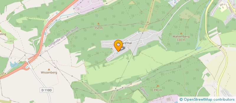 localisation de l'entreprise MONSIEUR MICHEL MASCOLO  SAINT-AVOLD