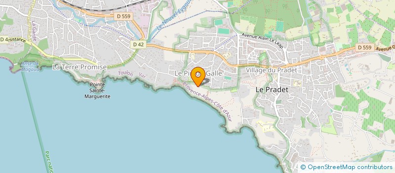 localisation de l'entreprise MONSIEUR MICHEL MATTESI BOSSO à LE PRADET
