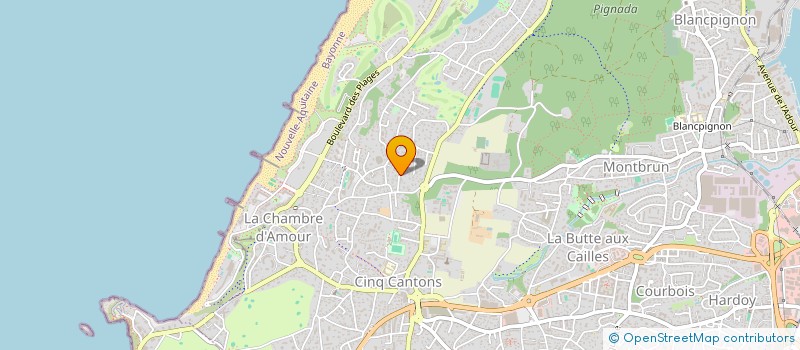 localisation de l'entreprise MONSIEUR MICHEL MINASSIAN à ANGLET