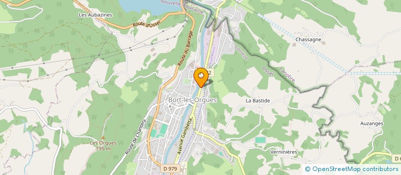 localisation de l'entreprise MONSIEUR MICHEL MONESTIER  BORT-LES-ORGUES