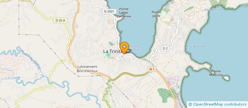 localisation de l'entreprise MONSIEUR MICHEL MONTHIEUX  TRINITE