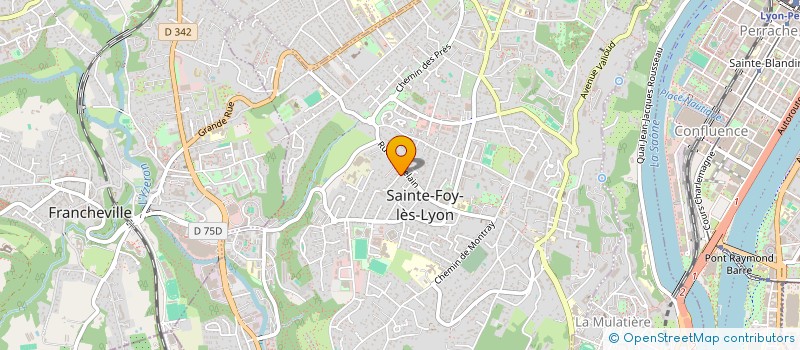 localisation de l'entreprise MONSIEUR MICHEL MOUSSA à SAINTE FOY LES LYON