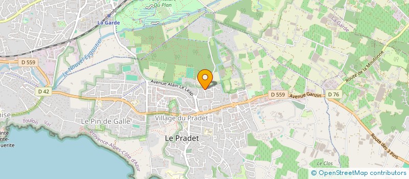localisation de l'entreprise MONSIEUR MICHEL MOYEN PEDONE  LE PRADET