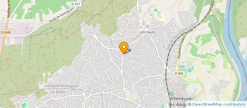 localisation de l'entreprise MONSIEUR MICHEL NAKACHE  VILLENEUVE-LES-AVIGNON