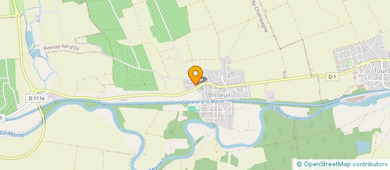 localisation de l'entreprise MONSIEUR MICHEL NEDELKO  AY-CHAMPAGNE