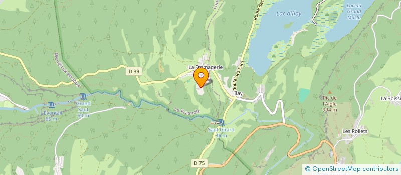 localisation de l'entreprise MONSIEUR MICHEL NEGRELLO  LE FRASNOIS