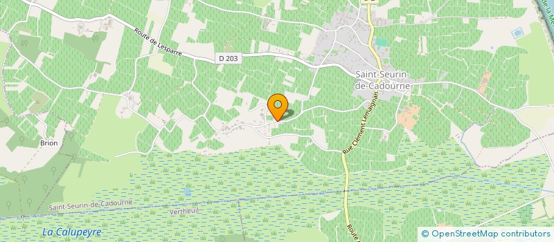 localisation de l'entreprise MONSIEUR MICHEL NEGRIER  SAINT-SEURIN-DE-CADOURNE