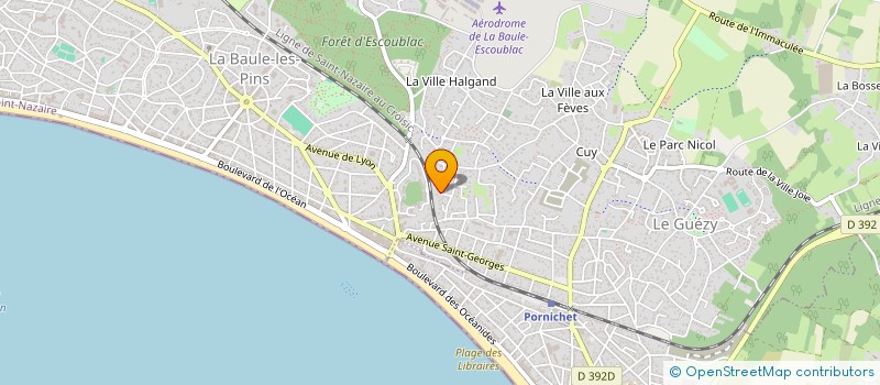 localisation de l'entreprise MONSIEUR MICHEL NEMETH  LA BAULE-ESCOUBLAC