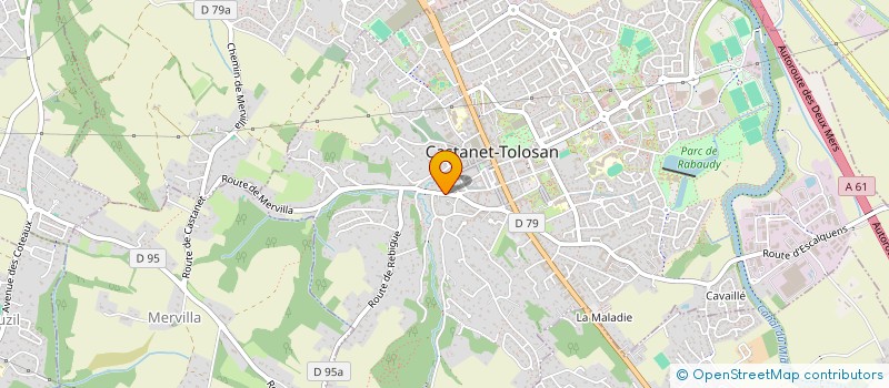 localisation de l'entreprise MONSIEUR MICHEL NIEZBORALA à CASTANET-TOLOSAN