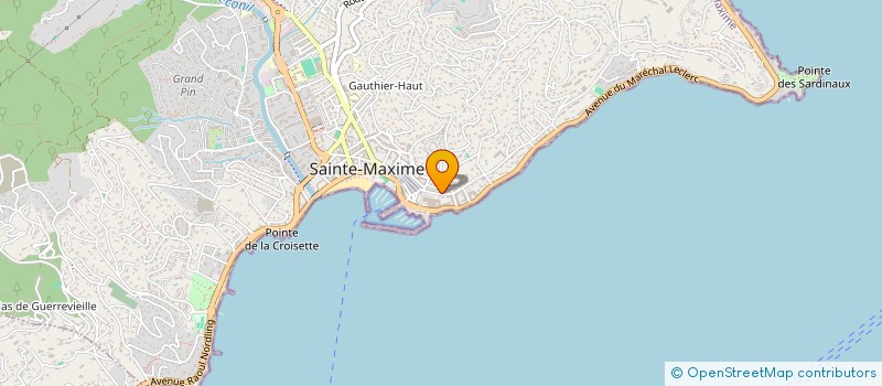 localisation de l'entreprise MONSIEUR MICHEL OLLAGNON à SAINTE-MAXIME