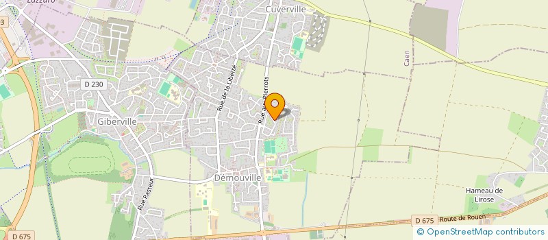 localisation de l'entreprise MONSIEUR MICHEL OURY  DEMOUVILLE