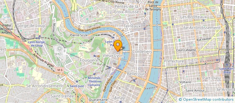 localisation de l'entreprise MONSIEUR MICHEL PAGES  LYON