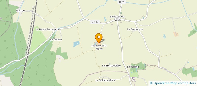 localisation de l'entreprise MONSIEUR MICHEL PALGE à SAINT-CYR-DU-GAULT