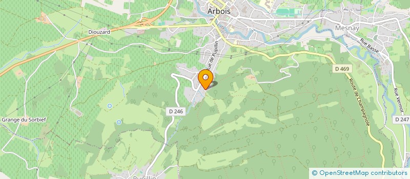 localisation de l'entreprise MONSIEUR MICHEL PARROD  ARBOIS