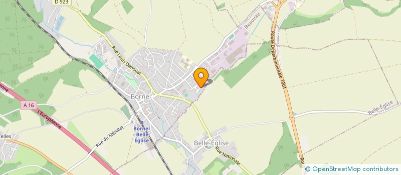 localisation de l'entreprise MONSIEUR MICHEL PASINI  BORNEL