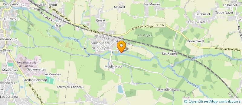 localisation de l'entreprise MONSIEUR MICHEL PELLETIER  SAINT-JEAN-SUR-VEYLE