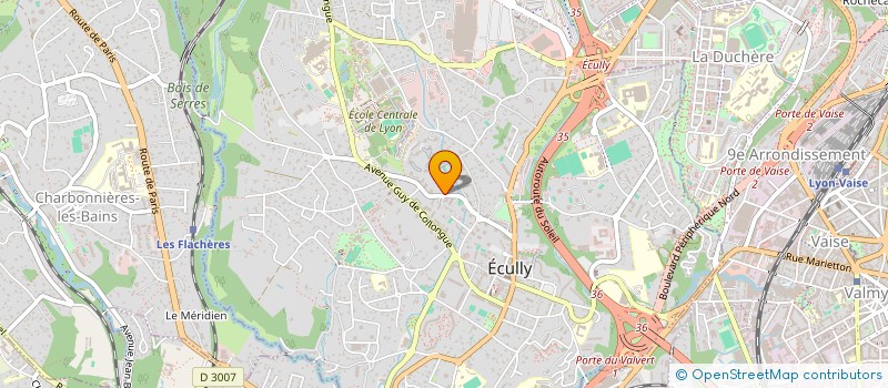 localisation de l'entreprise MONSIEUR MICHEL PENIN  ECULLY