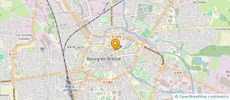localisation de l'entreprise MONSIEUR MICHEL PERROT  BOURG-EN-BRESSE
