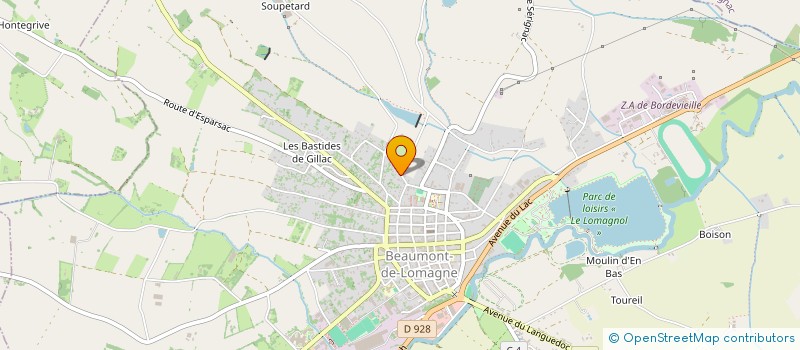 localisation de l'entreprise MONSIEUR MICHEL PETER  BEAUMONT-DE-LOMAGNE