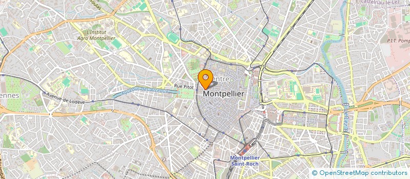 localisation de l'entreprise MONSIEUR MICHEL PIERCHON à MONTPELLIER