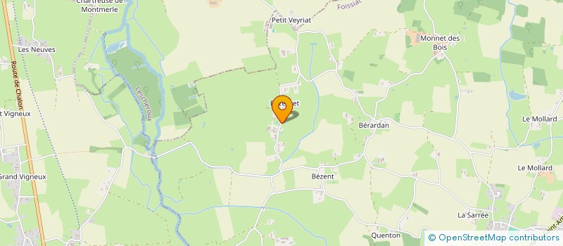 localisation de l'entreprise MONSIEUR MICHEL PIERRE  FOISSIAT