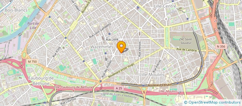 localisation de l'entreprise MONSIEUR MICHEL PINET à LILLE