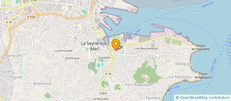 localisation de l'entreprise MONSIEUR MICHEL PITOU à LA SEYNE-SUR-MER