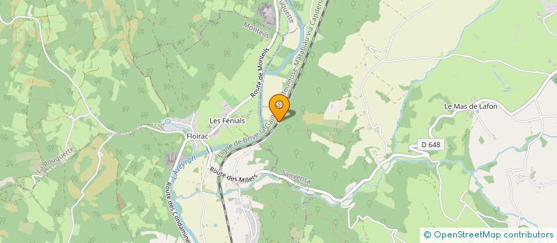 localisation de l'entreprise MONSIEUR MICHEL PLACE  VILLEFRANCHE-DE-ROUERGUE