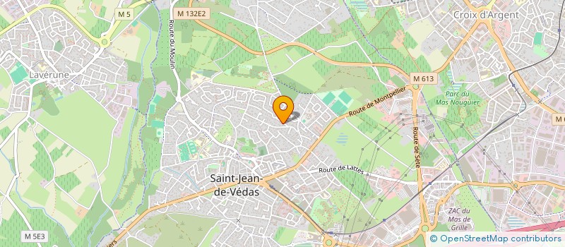 localisation de l'entreprise MONSIEUR MICHEL PONSY à SAINT-JEAN-DE-VEDAS